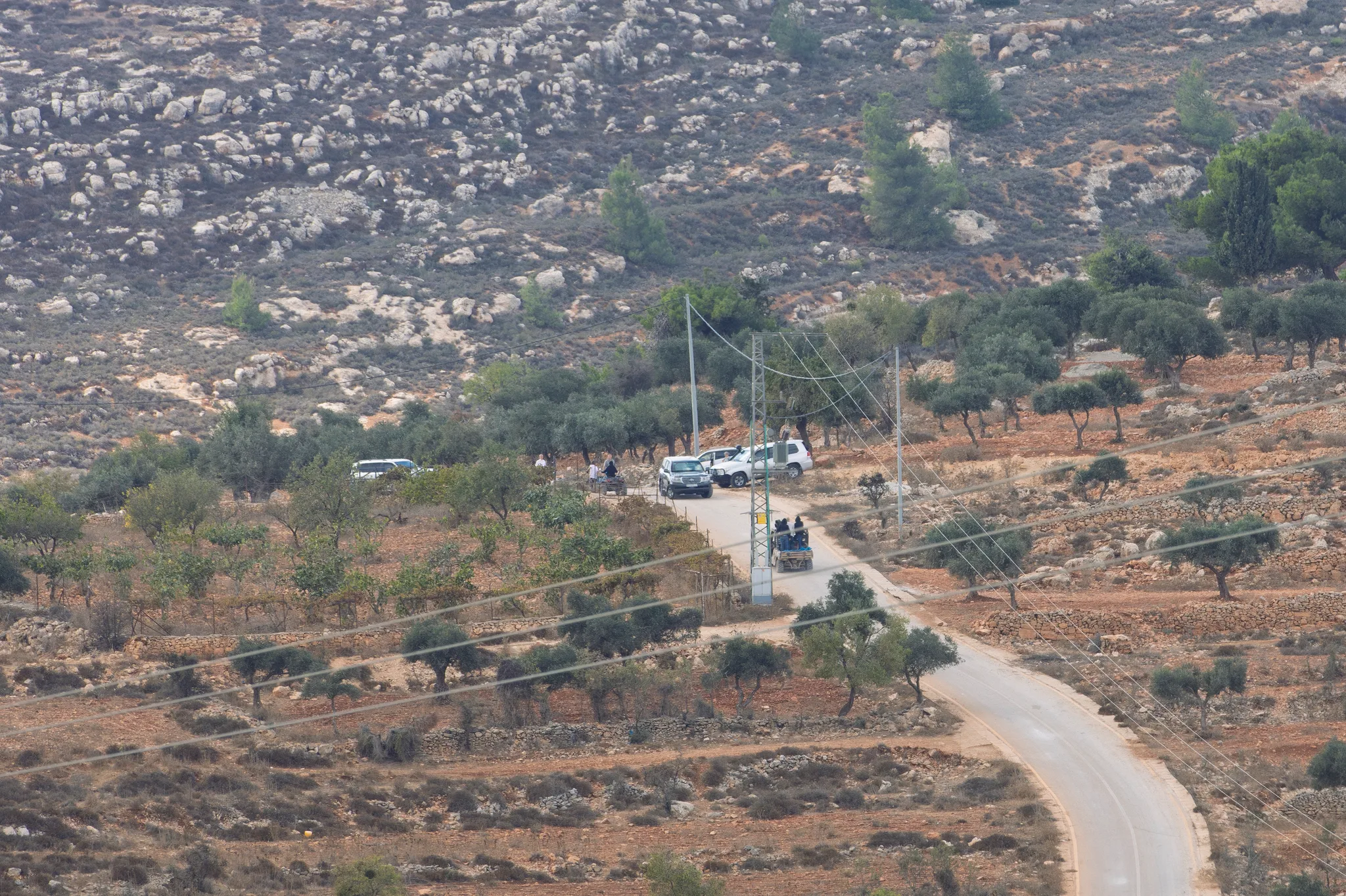 Bosættere i terrængående buggyer på landbrugsjord i Taybeh.